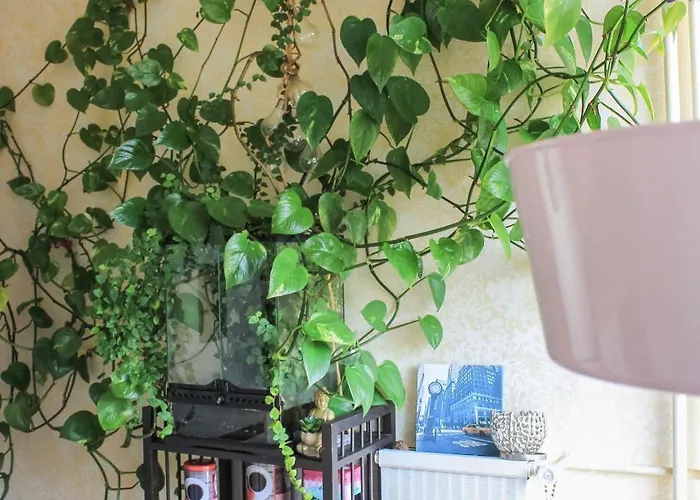 Le Chateau Vandrerhjem *