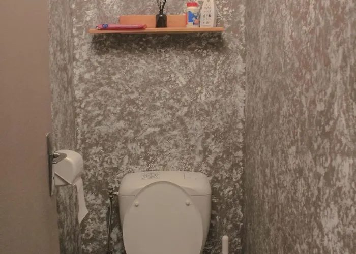 Vandrerhjem Le Chateau Blanquefort (Gironde)